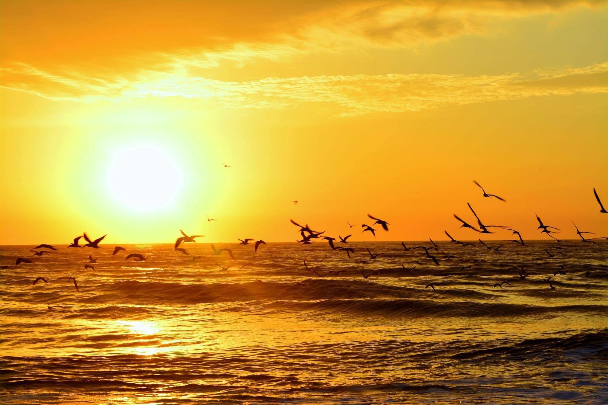 The Saint Augustine Beach House Luaran gambar